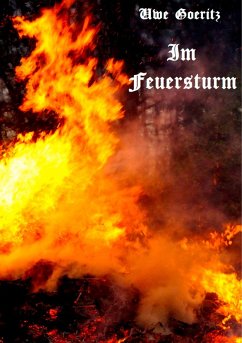 Im Feuersturm (eBook, ePUB) - Goeritz, Uwe