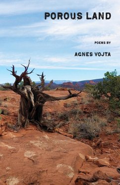 Porous Land - Vojta, Agnes