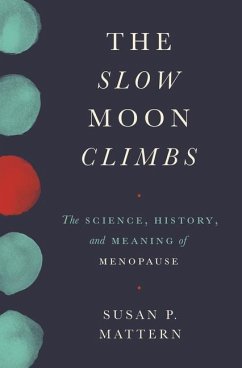 The Slow Moon Climbs - Mattern, Susan