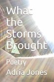 What the Storms Brought: Poetry