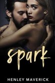 Spark: A Teacher/Student Romance