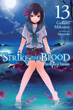 Strike the Blood, Vol. 13 (light novel) - Mikumo, Gakuto