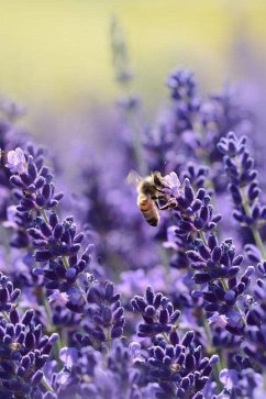 Lavender: Lavender Is an Herb. the Flower and the Oil of Lavender Are Used to Make Medicine. Lavender Is Commonly Used for Anxie - Journals, Planners And