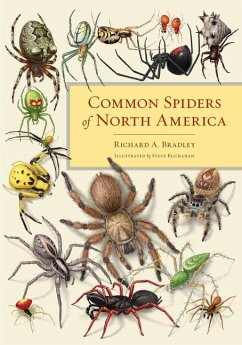 Common Spiders of North America - Bradley, Richard A