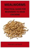 Mealworms: Practical guide for beginners to raise chickens
