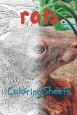Rat Coloring Sheets: 30 Rat Drawings, Coloring Sheets Adults Relaxation, Coloring Book for Kids, for Girls, Volume 14