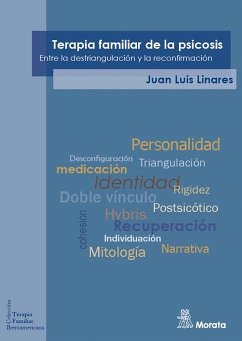 Terapia familiar de la psicosis : entre la destriangulación y la reconfirmación - Linares, Juan Luis