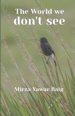 The World We Dont See - Baig, Mirza Yawar