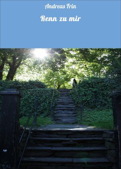 Renn zu mir (eBook, ePUB) - Frin, Andreas