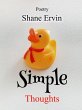 Simple Thoughts (eBook, ePUB) - Bild 1
