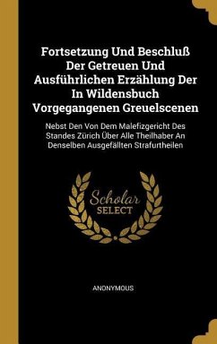 Fortsetzung Und Beschluß Der Getreuen Und Ausführlichen Erzählung Der in Wildensbuch Vorgegangenen Greuelscenen: Nebst Den Von Dem Malefizgericht Des - Anonymous