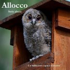 Allocco: Strix Aluco