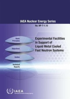 Experimental Facilities in Support of Liquid Metal Cooled Fast Neutron Systems: IAEA Nuclear Energy Series No. Np-T-1.15 - International Atomic Energy Agency