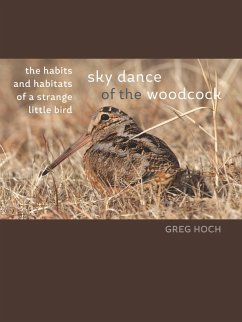 Cover Sky Dance of the Woodcock (eBook, ePUB)