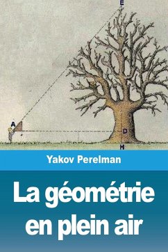 La géométrie en plein air - Perelman, Yakov
