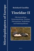 Tineidae II