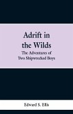 Adrift in the Wilds