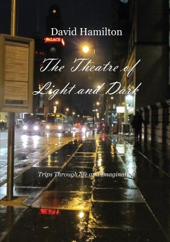 The Theatre of Light and Dark - Hamilton, David