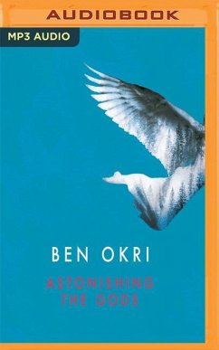 Astonishing the Gods - Okri, Ben