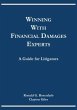 Winning with Financial Damages Experts... - Bild 1