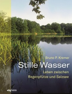 Stille Wasser (eBook, PDF) - Kremer, Bruno P.