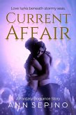 Current Affair (eBook, ePUB)