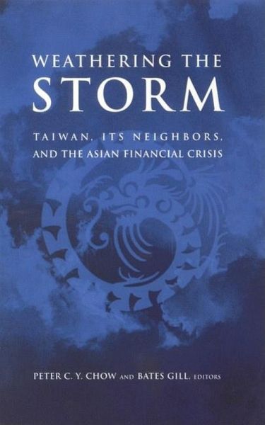 Weathering the Storm (eBook, PDF)