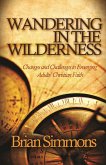 Wandering in the Wilderness (eBook, ePUB)