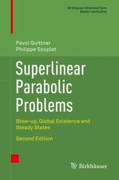 Superlinear Parabolic Problems - Quittner, Pavol;Souplet, Prof. Dr. Philippe