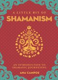 A Little Bit of Shamanism (eBook, ePUB)