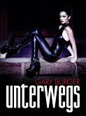 Unterwegs (eBook, ePUB)