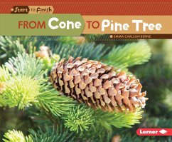 From Cone to Pine Tree (eBook, PDF) - Carlson-Berne, Emma