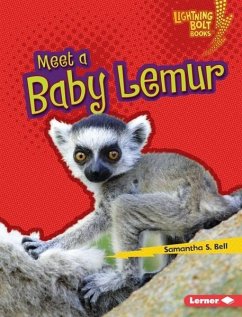 Meet a Baby Lemur (eBook, PDF) - Bell, Samantha S.