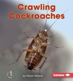 Crawling Cockroaches (eBook, PDF)