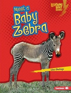 Cover Meet a Baby Zebra (eBook, PDF)