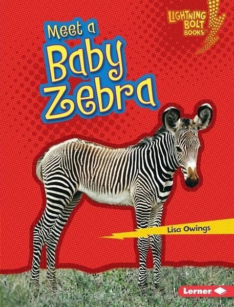 Meet a Baby Zebra (eBook, PDF) Meet a Baby Zebra (eBook, PDF)