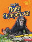 Meet a Baby Chimpanzee (eBook, PDF)