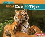 From Cub to Tiger (eBook, PDF)