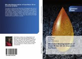 Microbial Biodegradation of Used Motor Oil on Concrete Surfaces