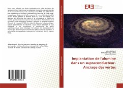 Implantation de l'alumine dans un supraconducteur-Ancrage des vortex - Mellekh, Adem;Ben Salem, Mohamed;Zouaoui, Mouldi