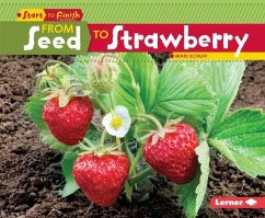 Cover From Seed to Strawberry (eBook, PDF)