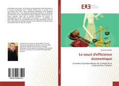 Le souci d'efficience économique - Chebbi, Oussema