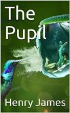 The Pupil (eBook, ePUB)