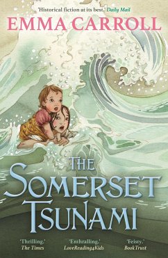 The Somerset Tsunami - Carroll, Emma