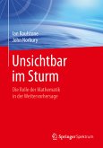 Unsichtbar im Sturm (eBook, PDF)