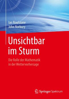 Unsichtbar im Sturm (eBook, PDF) - Roulstone, Ian; Norbury, John