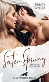 SeitenSprung   Erotische Geschichte (eBook, PDF)