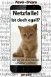 Netzfalle! (eBook, ePUB) - Bild 1