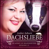 Dachsliebe, Episode 15 - Fantasy-Serie (MP3-Download)