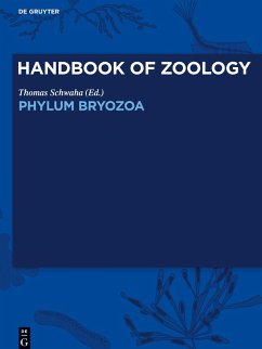 Cover Handbook of Zoology / Handbuch der Zoologie, Phylum Bryozoa